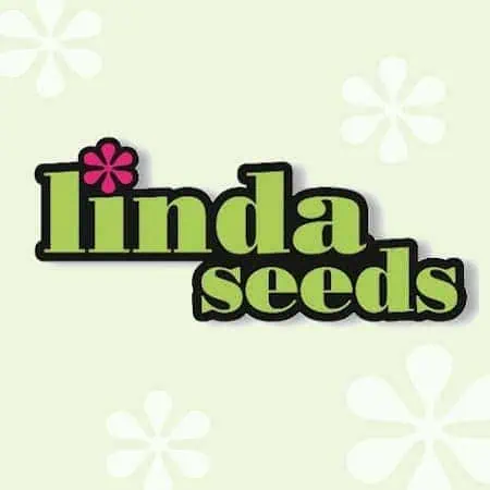 linda-seeds-hanfsamen-cannabis-seed